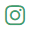 icona instagram gruppo concialdi